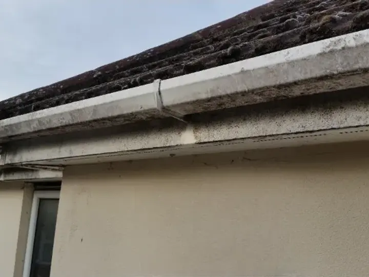 Gutter and fascia stained grey along a bungalow roof